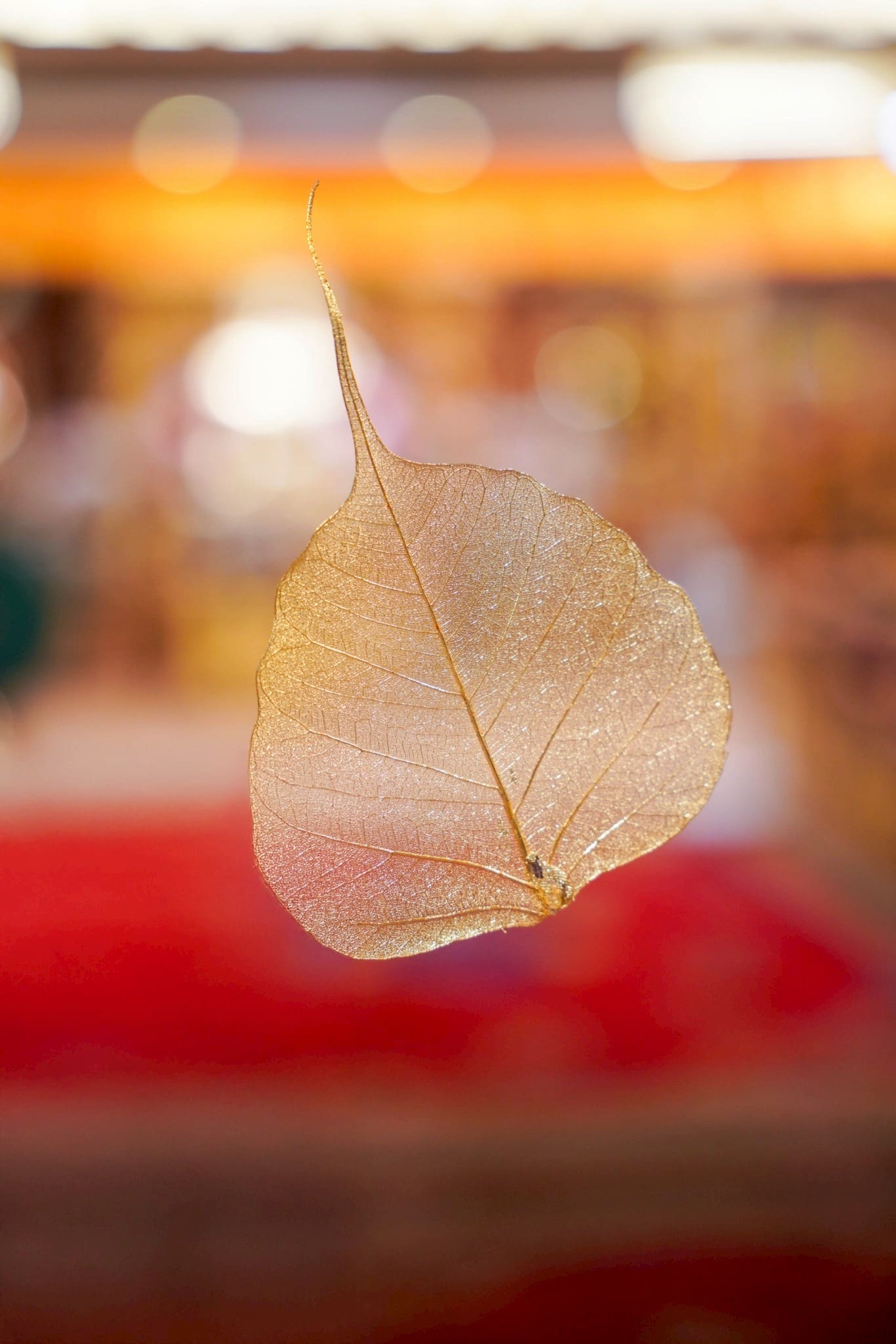 祈福為何總要點燈? 薩迦文殊佛學會推「千燈祈福」,台灣與佛陀聖地-「菩提伽耶」兩地同明! 祈福為何總要點燈? 薩迦文殊佛學會推「千燈祈福」,台灣與佛陀聖地-「菩提伽耶」兩地同明!