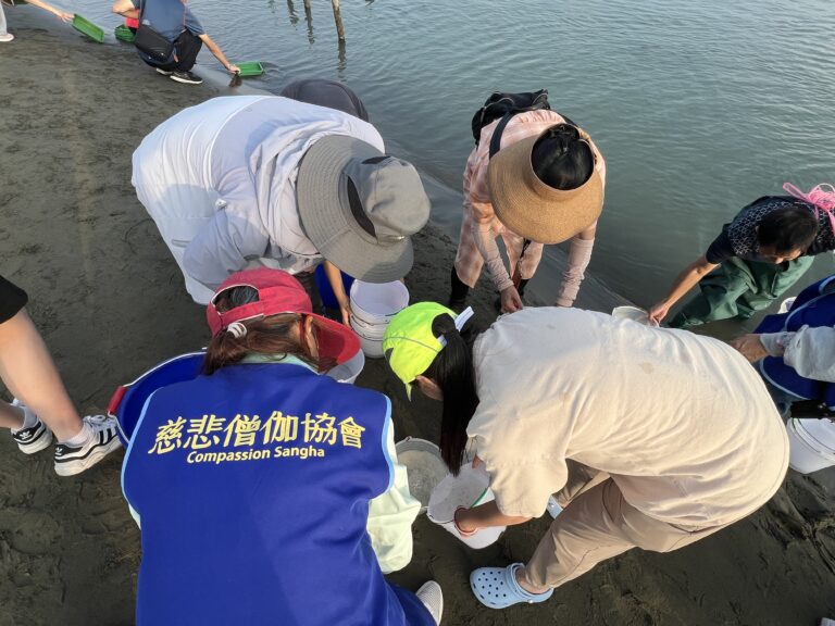 嘉義慈悲協會舉辦「琉璃大放流」　十萬蟹苗重返大海　讓生命再度呼吸