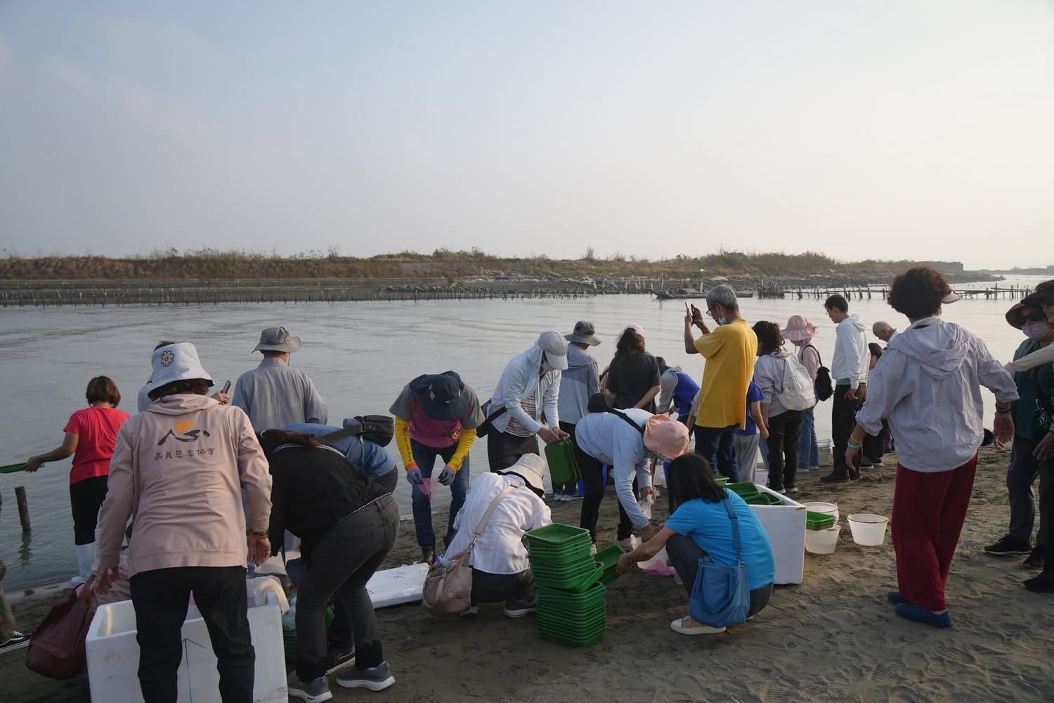 嘉義慈悲協會舉辦「琉璃大放流」　十萬蟹苗重返大海　讓生命再度呼吸