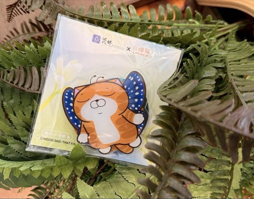 世界唯二奇景「紫蝶幽谷」驚限茂林 白爛貓陪您一起賞蝶 世界唯二奇景「紫蝶幽谷」驚限茂林 白爛貓陪您一起賞蝶