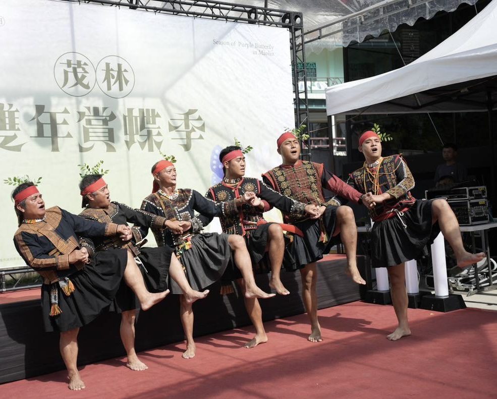 世界唯二奇景「紫蝶幽谷」驚限茂林 白爛貓陪您一起賞蝶 世界唯二奇景「紫蝶幽谷」驚限茂林 白爛貓陪您一起賞蝶