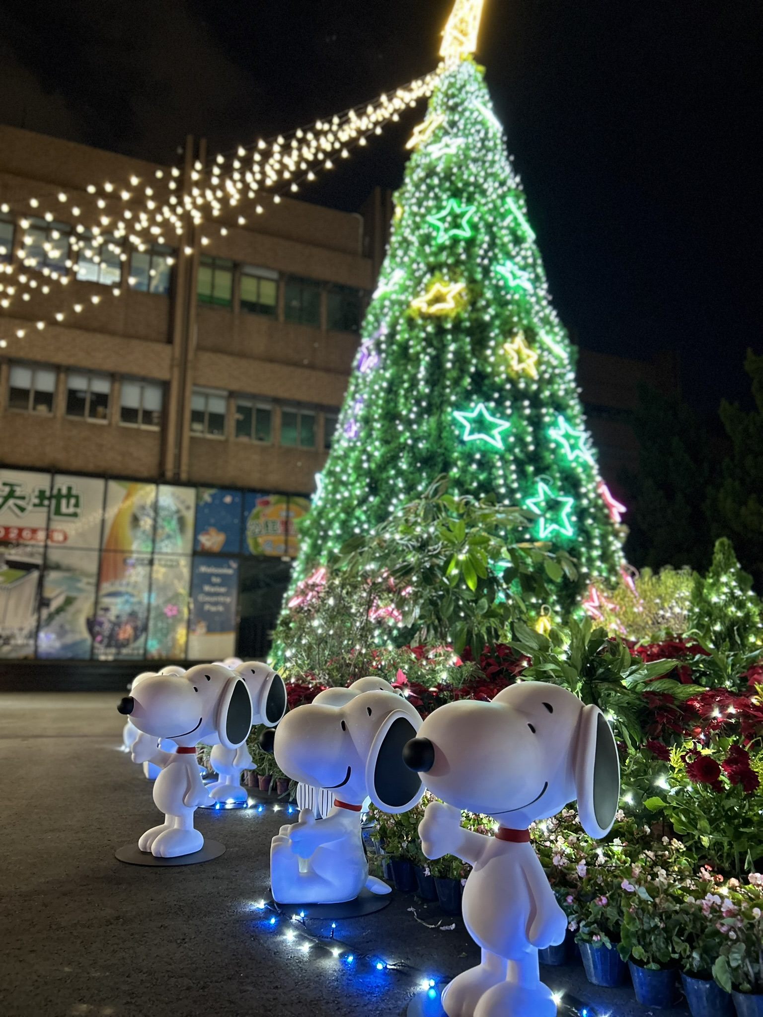史努比進駐古蹟！公館聖誕季11/29登場　日夜不同風貌點亮自來水園區