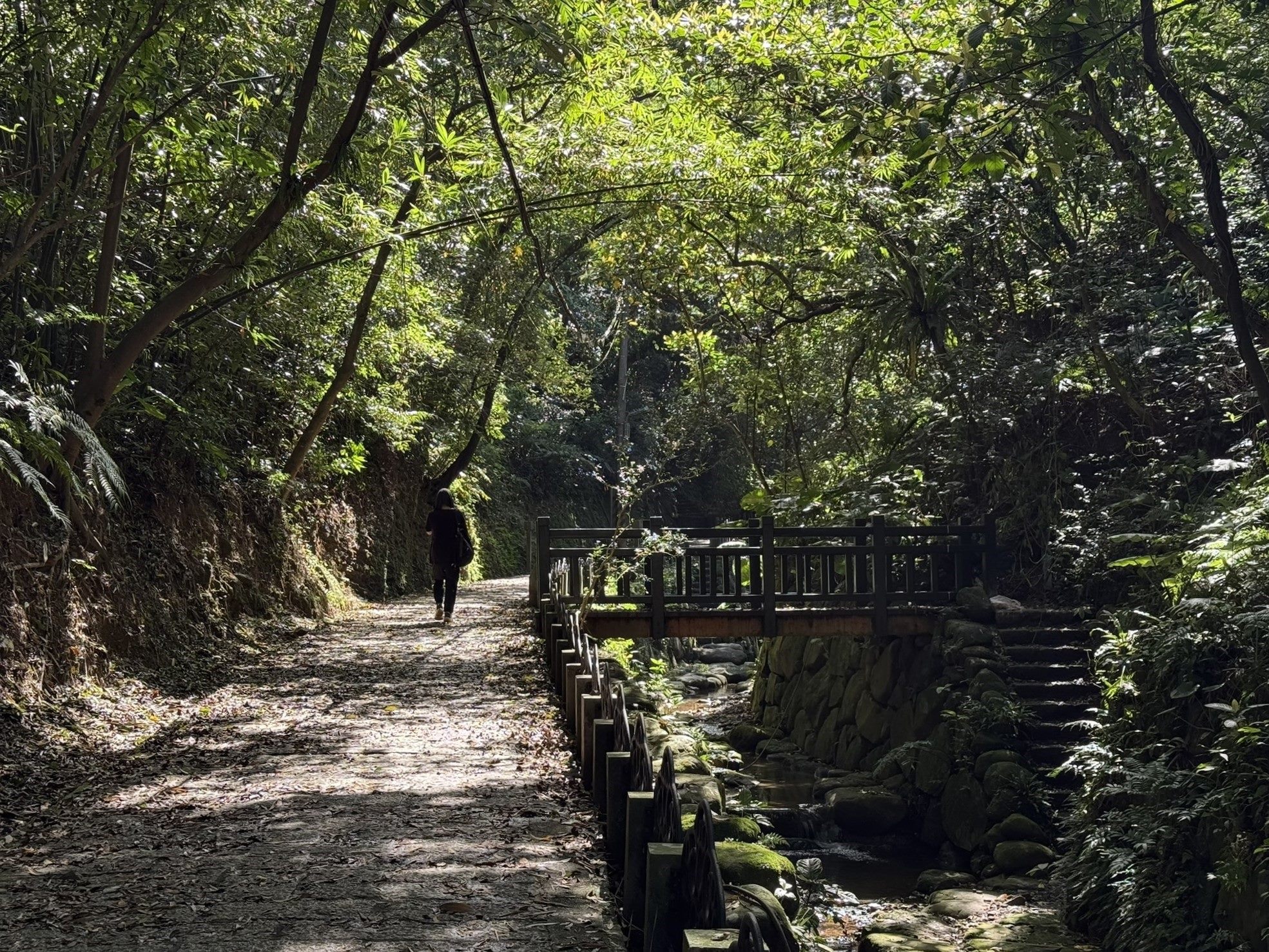 秋日雅行 北市首選虎山溪 享受深層慢活時光 秋日雅行 北市首選虎山溪 享受深層慢活時光
