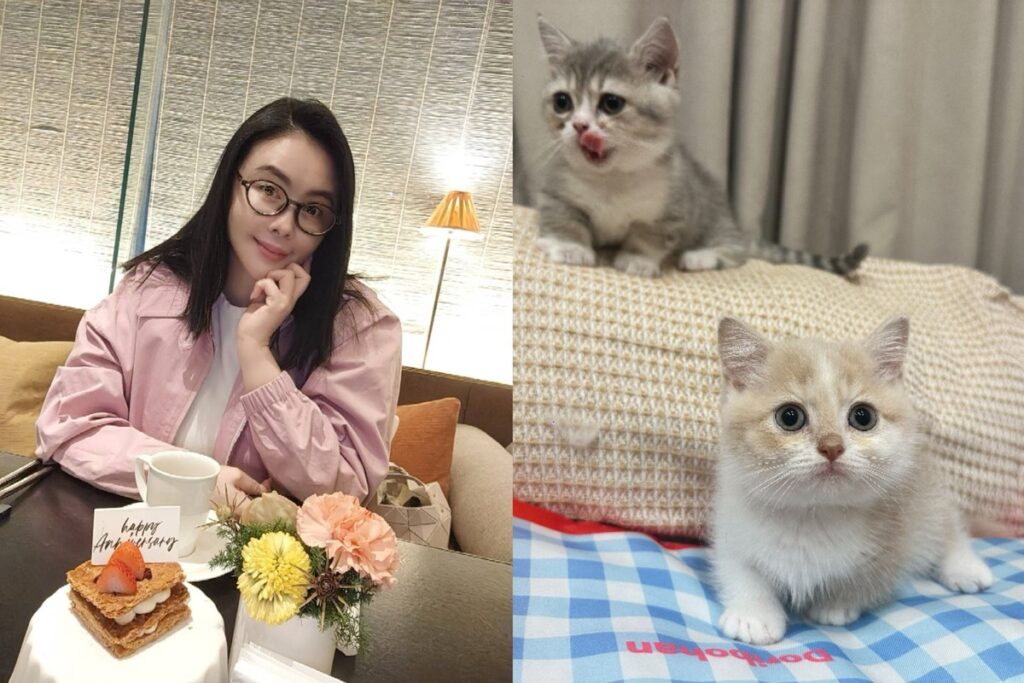 慎重登場 愛意不減｜梁軒安與蕭淑慎攜手八週年 十貓作伴幸福滿屋