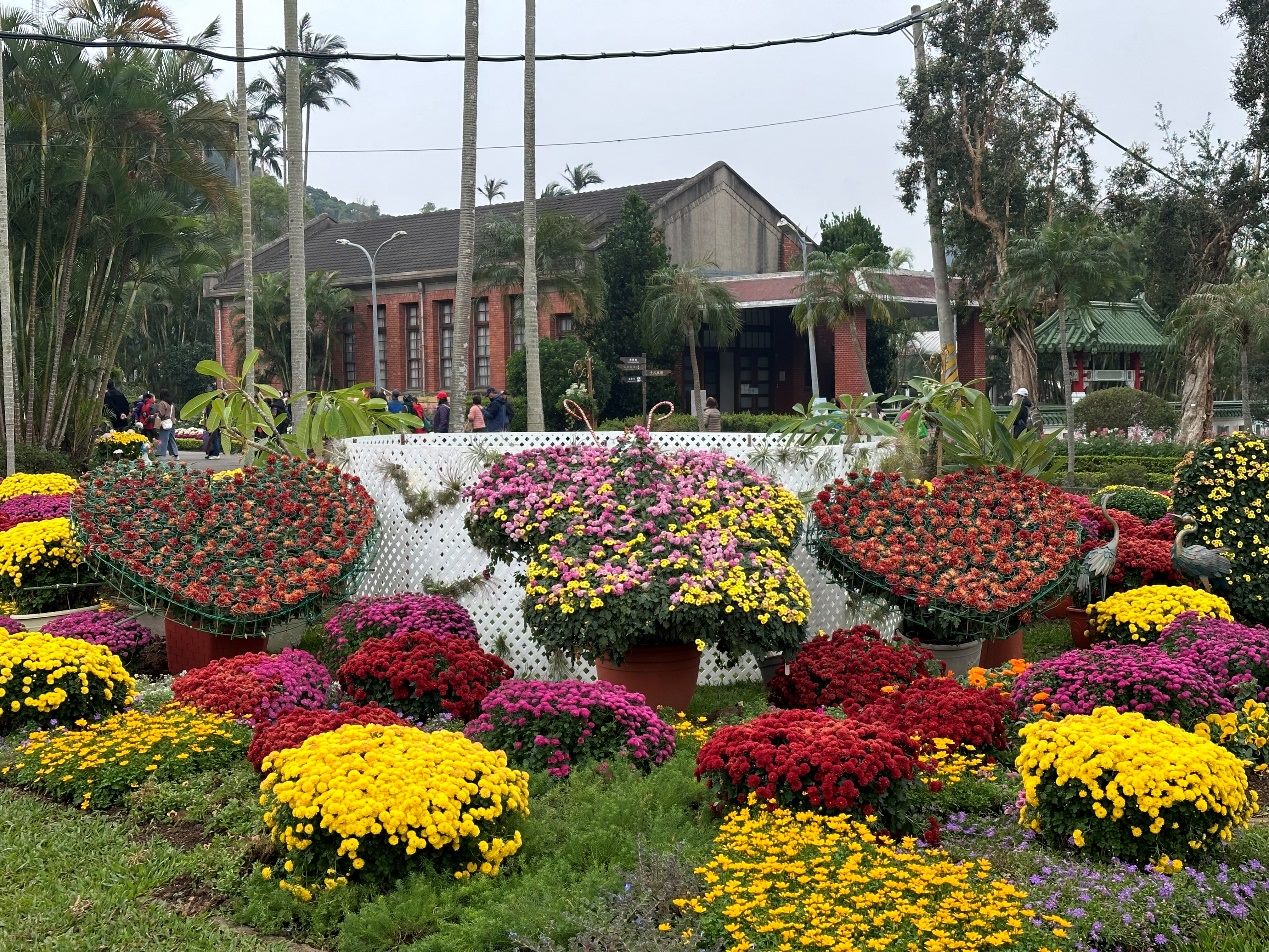 秋意正濃!士林官邸菊展11月登場 徜徉15大主題展區 秋意正濃!士林官邸菊展11月登場 徜徉15大主題展區