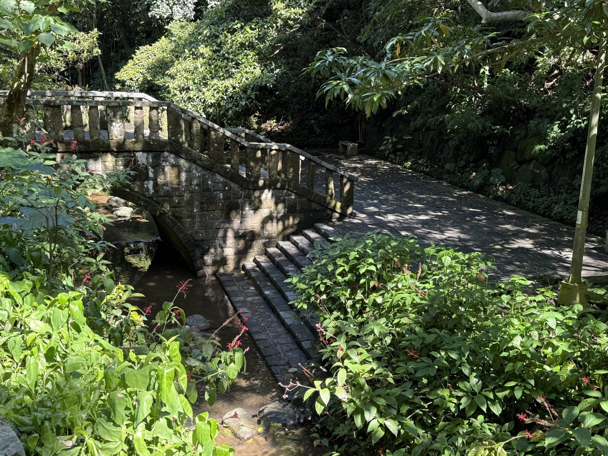 秋日雅行 北市首選虎山溪 享受深層慢活時光 秋日雅行 北市首選虎山溪 享受深層慢活時光