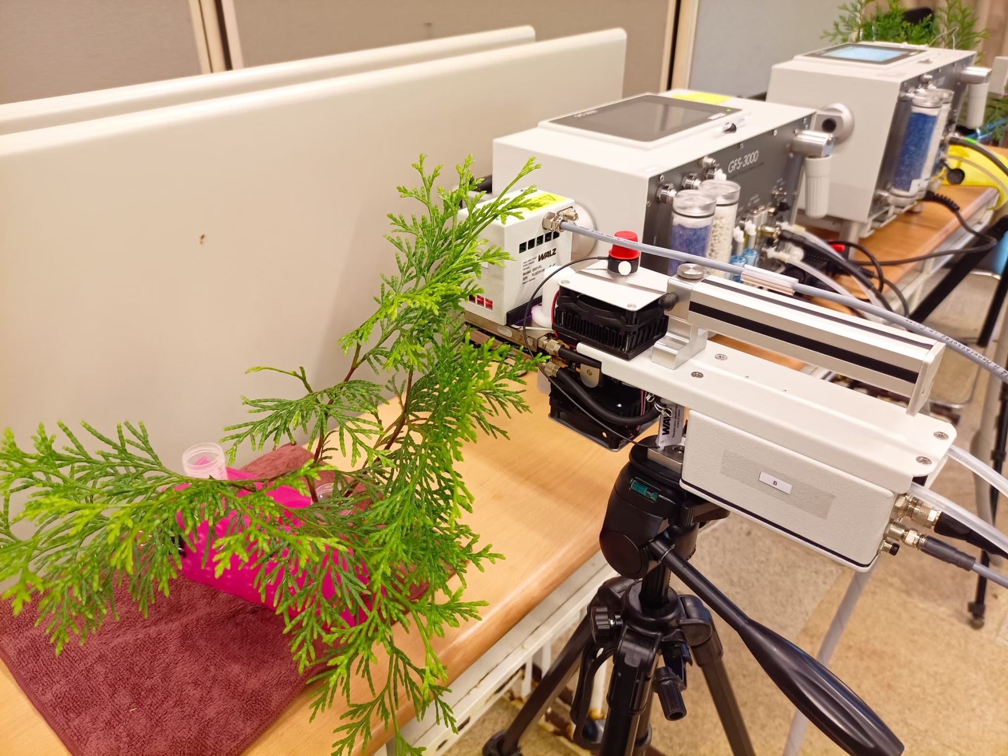 植林減碳 北市撫育森林增進碳吸存 植林減碳 北市撫育森林增進碳吸存