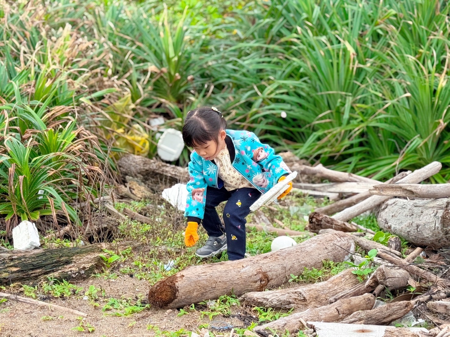 ESG 不只是口號!新創總會攜手企業清出 901 公斤海廢展現永續力 小小志工彎腰撿拾海廢,以行動展現永續教育向下扎根的重要精神。(圖/新創總會提供)