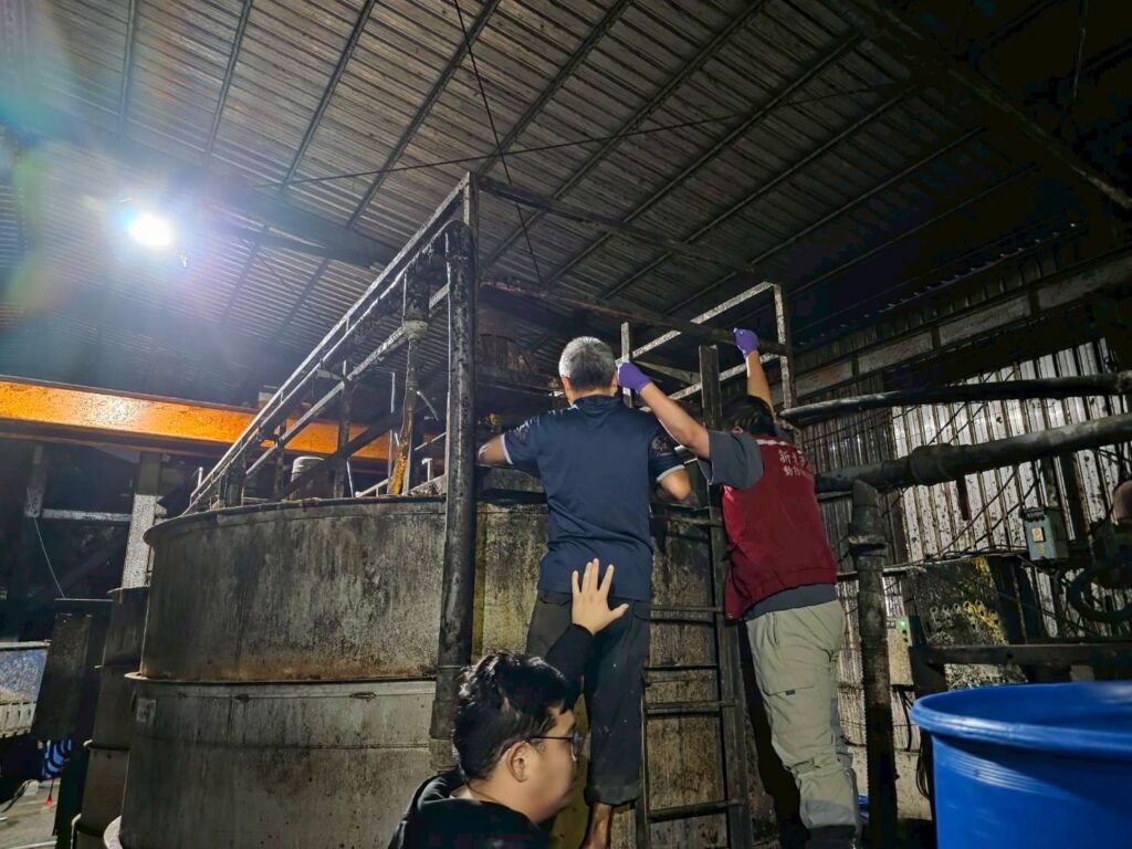 新北再查獲違規餵食廚餘養豬場 重罰206萬並禁上市及取消補助 新北再查獲違規餵食廚餘養豬場 重罰206萬並禁上市及取消補助