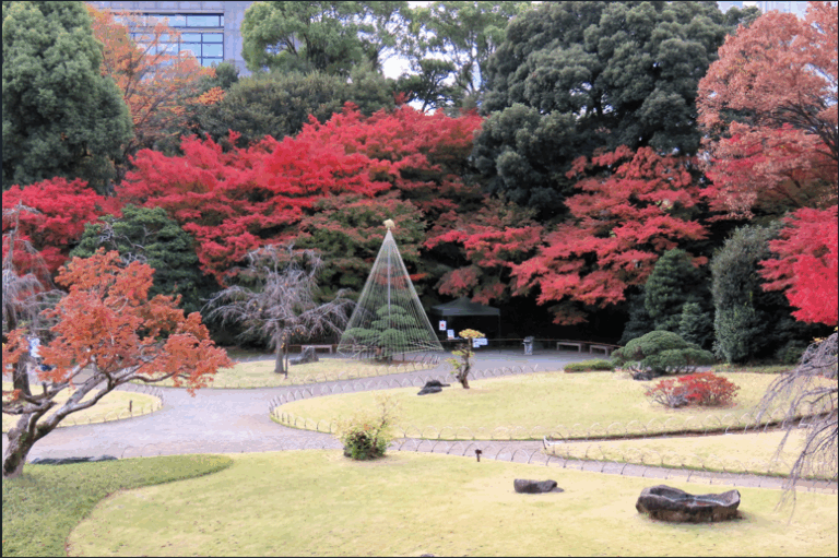 東京人文賞楓三熱點 江戶庭園 高尾山博物館 深大寺等紅葉與文化交織