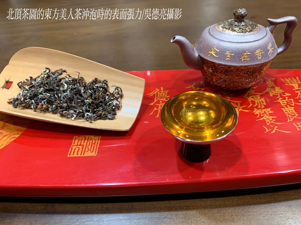 坪林石碇文山包種茶 翻轉茶的無限可能 坪林石碇文山包種茶 翻轉茶的無限可能