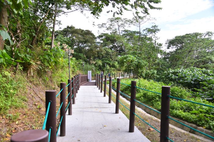 打造健行步道休憩場所 中和南勢環山步道感恩茶會 16 《圖說》步道各項設施及設備都兼具保護環境及生態永續為主,使健行人健走意願得以大幅提升。〈中和區公所提供〉