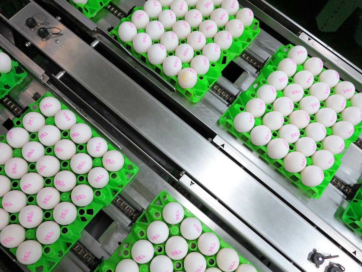 圖／勤億蛋品從源頭開始控管，把所有可能導致食安問題的因素排除在雞舍之外，讓每一顆蛋都是在可控、乾淨的環境中生產。（勤億蛋品 提供）