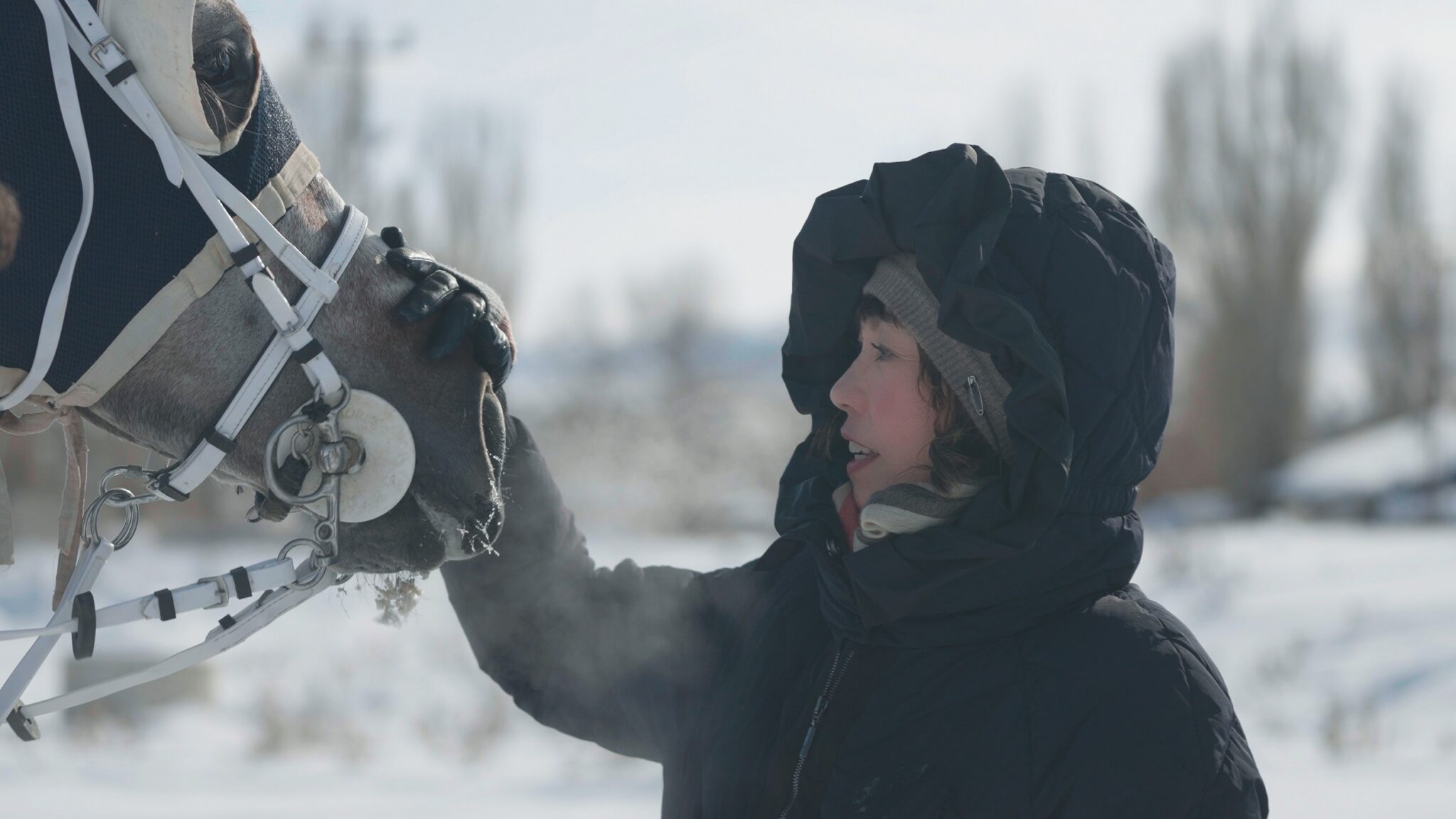 新加坡歌手陳潔儀首次挑戰人文旅遊節目主持 展開一場深度自我對話的療癒之旅 新加坡歌手陳潔儀首次挑戰人文旅遊節目主持 展開一場深度自我對話的療癒之旅