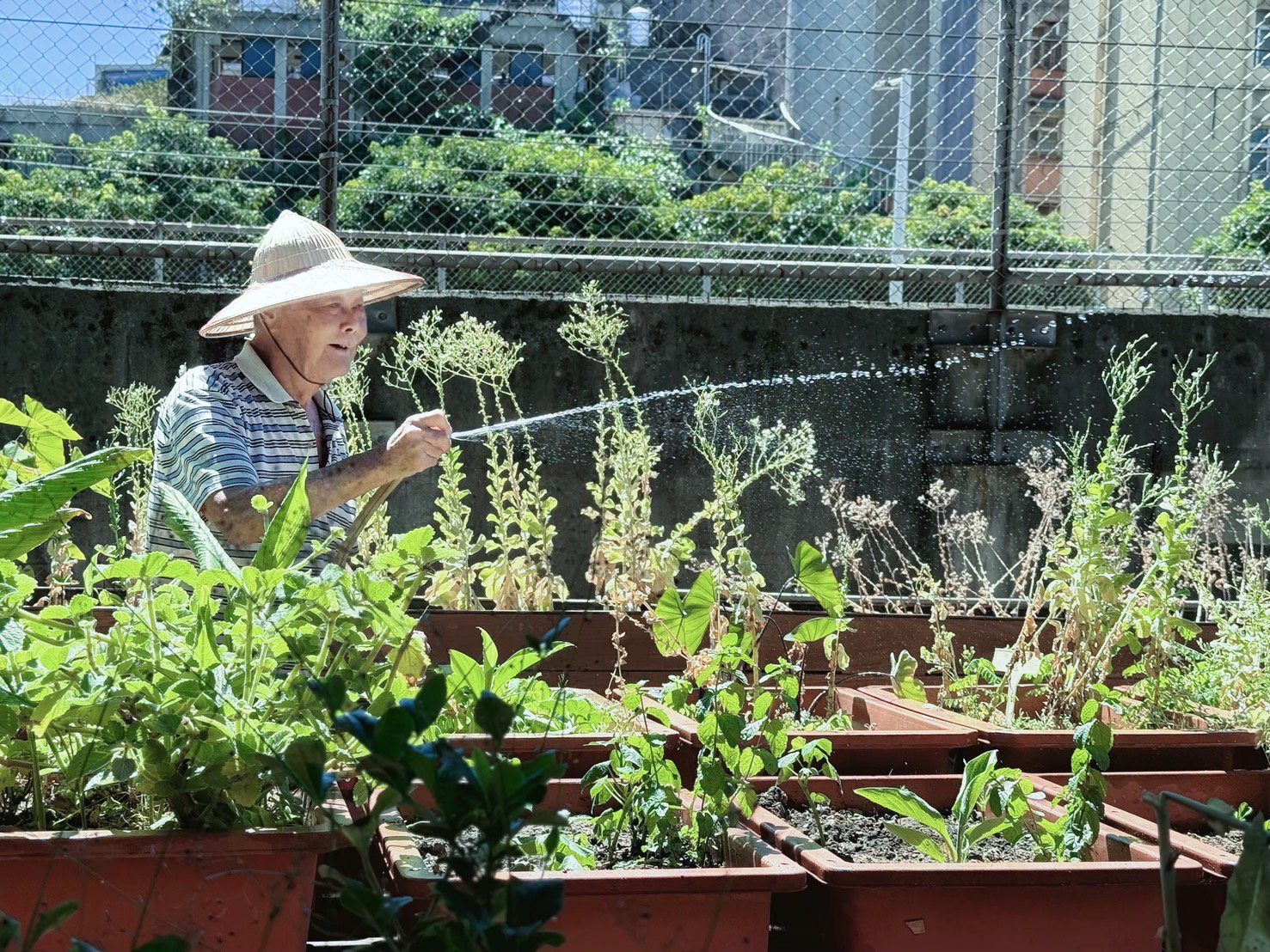 扎根在地服務獲肯定 基隆新建社區奪「金點之星」團體獎 扎根在地服務獲肯定 基隆新建社區奪「金點之星」團體獎