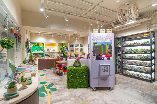 馬年限定禮盒爆單 台味盆栽成企業最愛伴手禮 馬年限定禮盒爆單 台味盆栽成企業最愛伴手禮