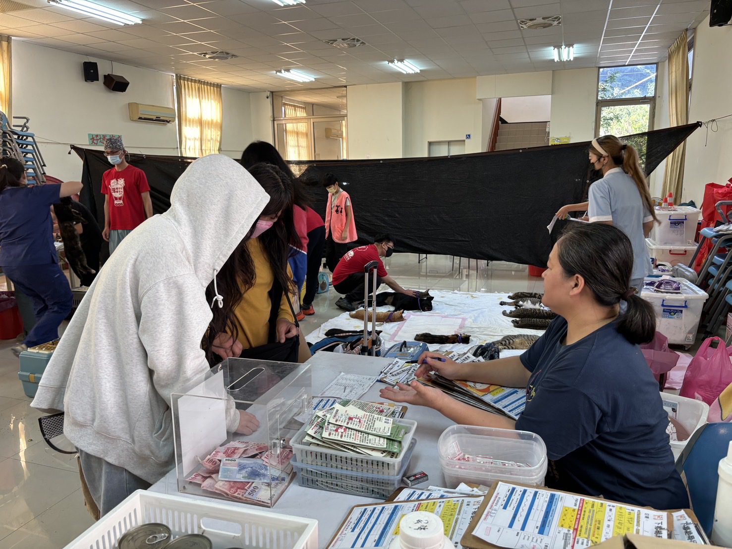 公私協力深入偏鄉守護毛小孩 台中市偏區犬貓絕育114年度活動圓滿結束 公私協力深入偏鄉守護毛小孩 台中市偏區犬貓絕育114年度活動圓滿結束