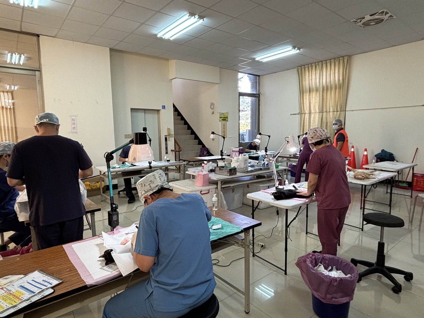 公私協力深入偏鄉守護毛小孩 台中市偏區犬貓絕育114年度活動圓滿結束 公私協力深入偏鄉守護毛小孩 台中市偏區犬貓絕育114年度活動圓滿結束