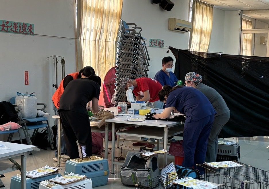 公私協力深入偏鄉守護毛小孩 台中市偏區犬貓絕育114年度活動圓滿結束 公私協力深入偏鄉守護毛小孩 台中市偏區犬貓絕育114年度活動圓滿結束