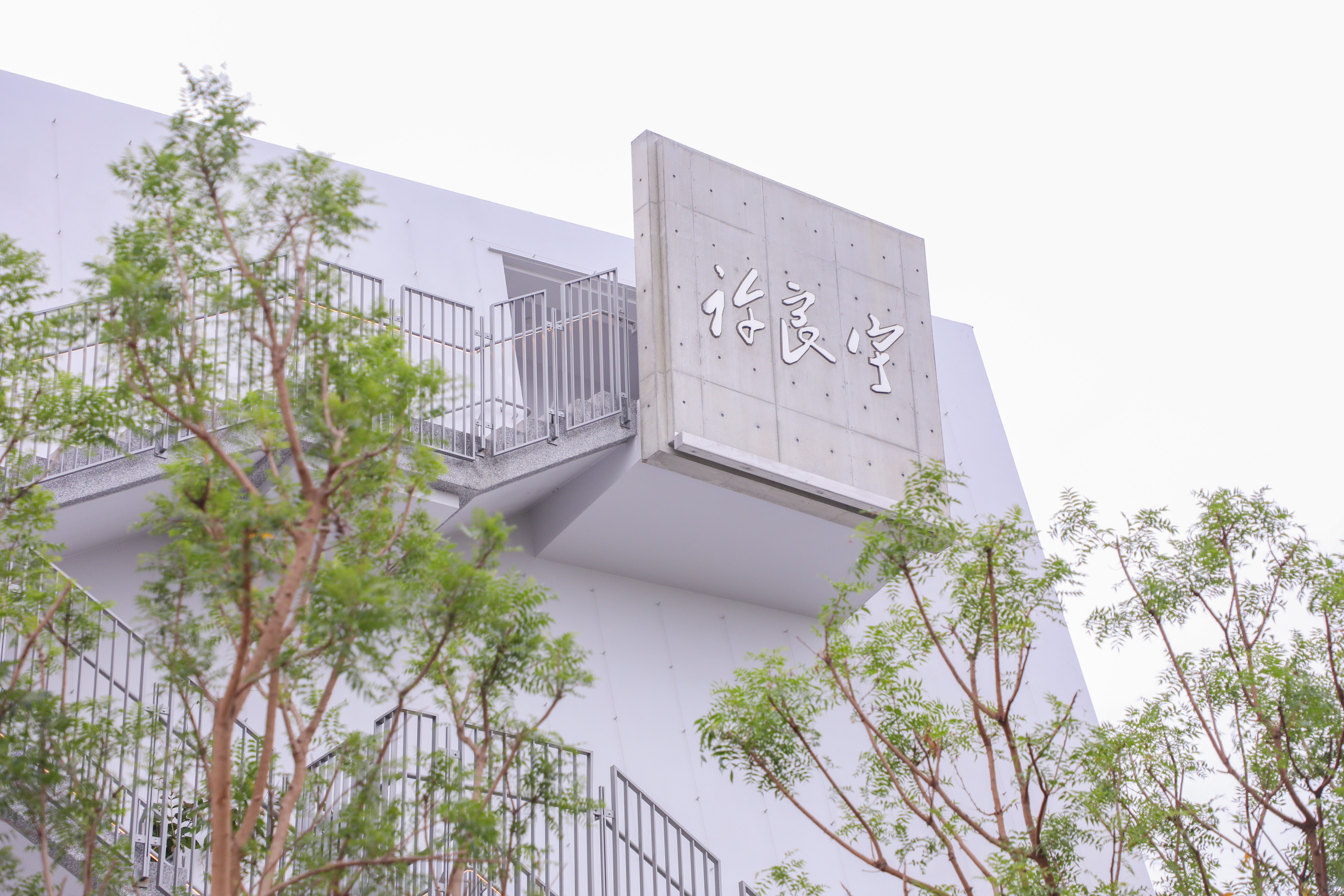 慈善的光環與制度缺失陰影? 東勢圖書館揭示文化資源失衡 慈善的光環與制度缺失陰影? 東勢圖書館揭示文化資源失衡