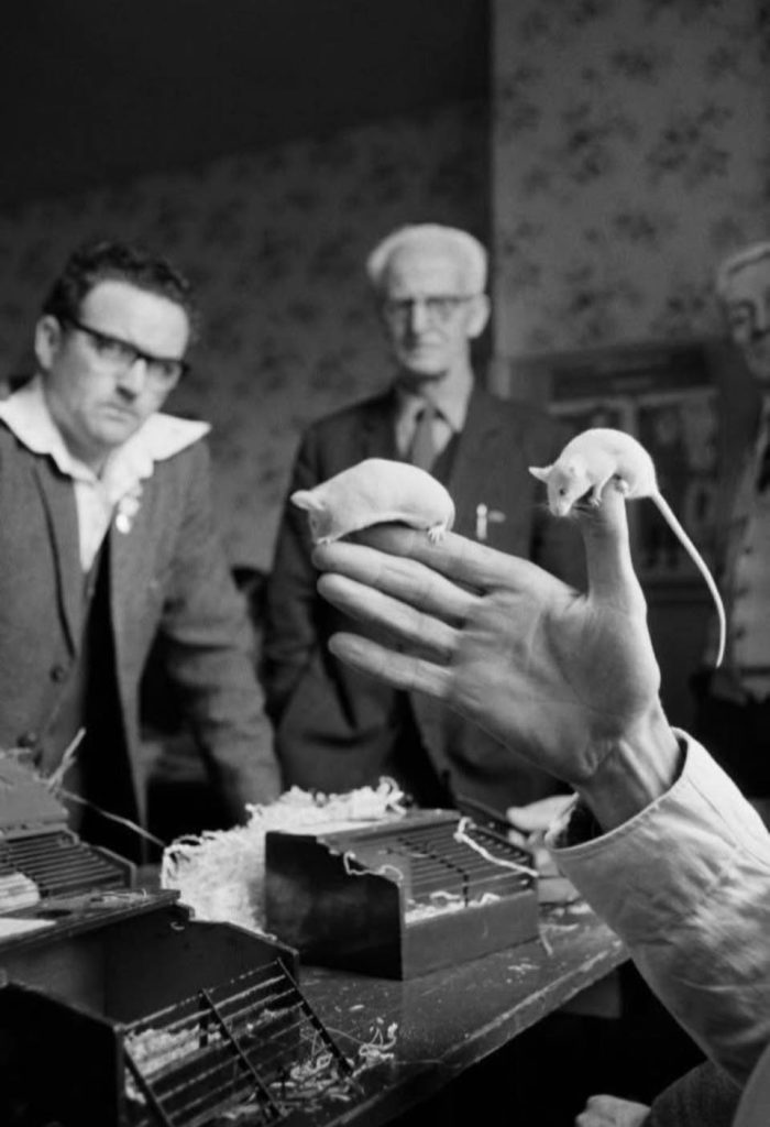 當影像不再讓人不舒服 當影像不再讓人不舒服