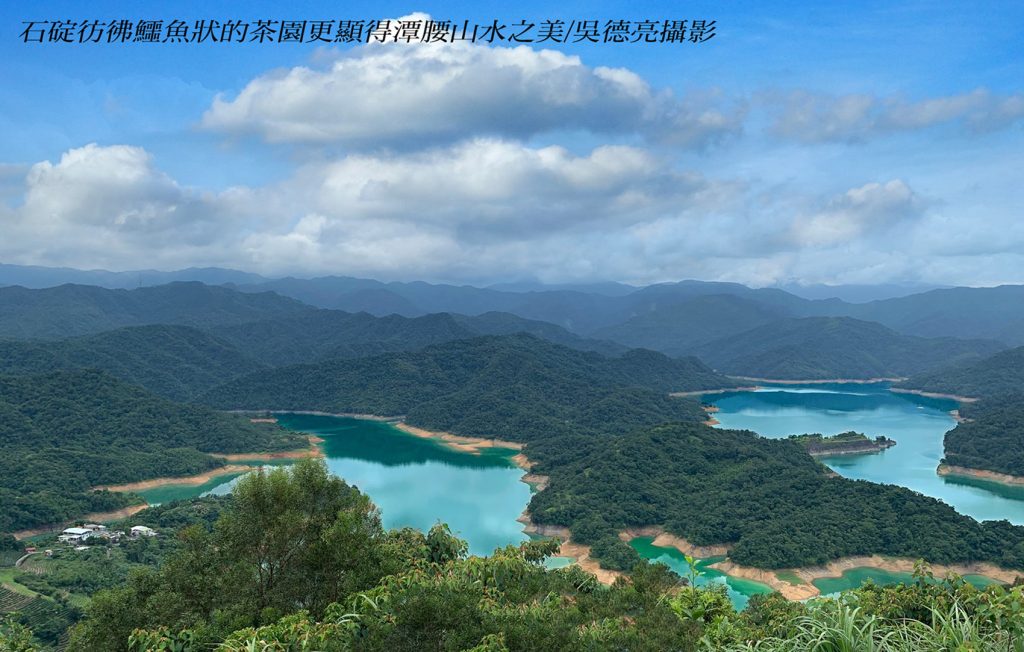 坪林石碇文山包種茶 翻轉茶的無限可能 坪林石碇文山包種茶 翻轉茶的無限可能