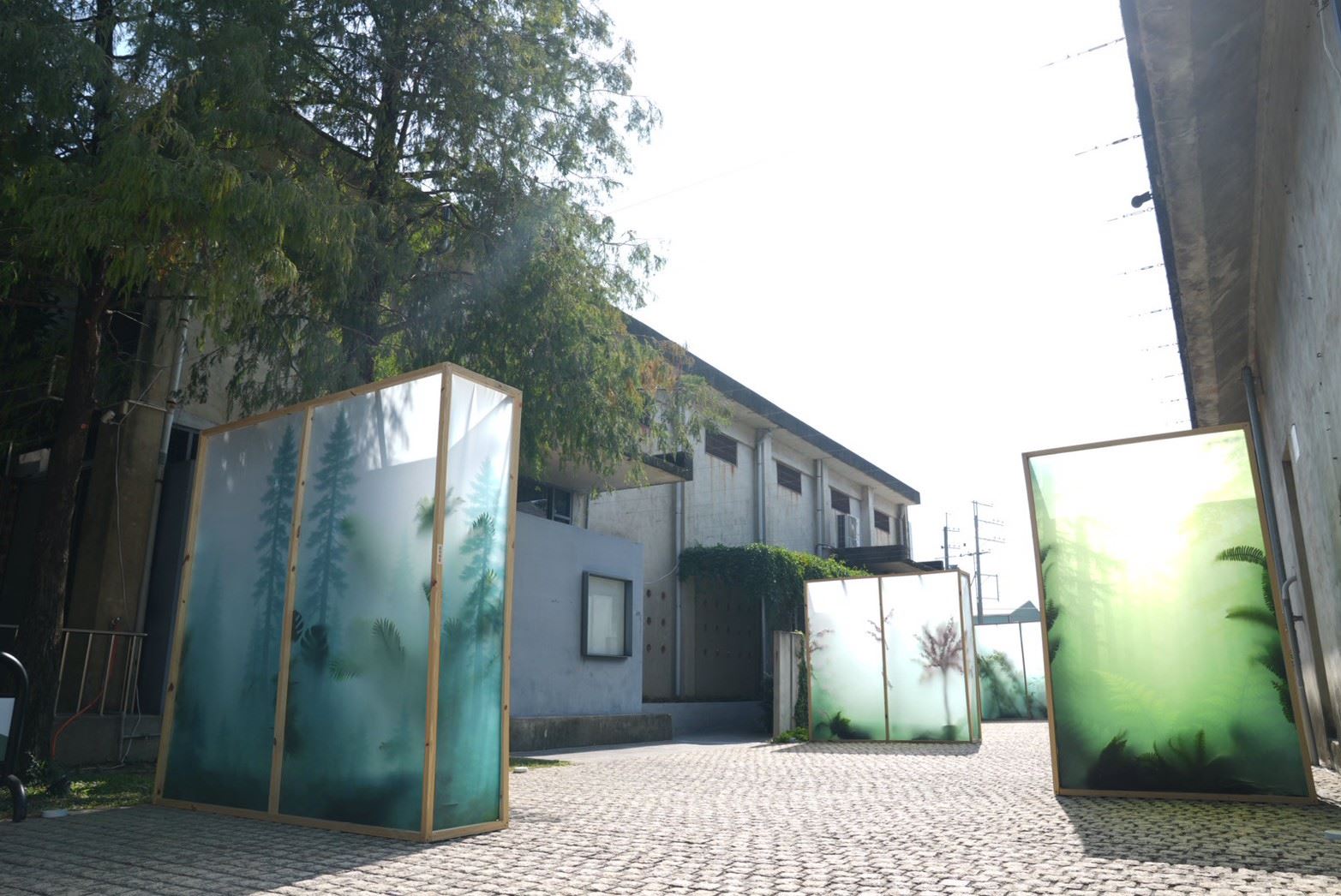 2025高山茶都精彩登場　阿里山5大茶區一次呈現