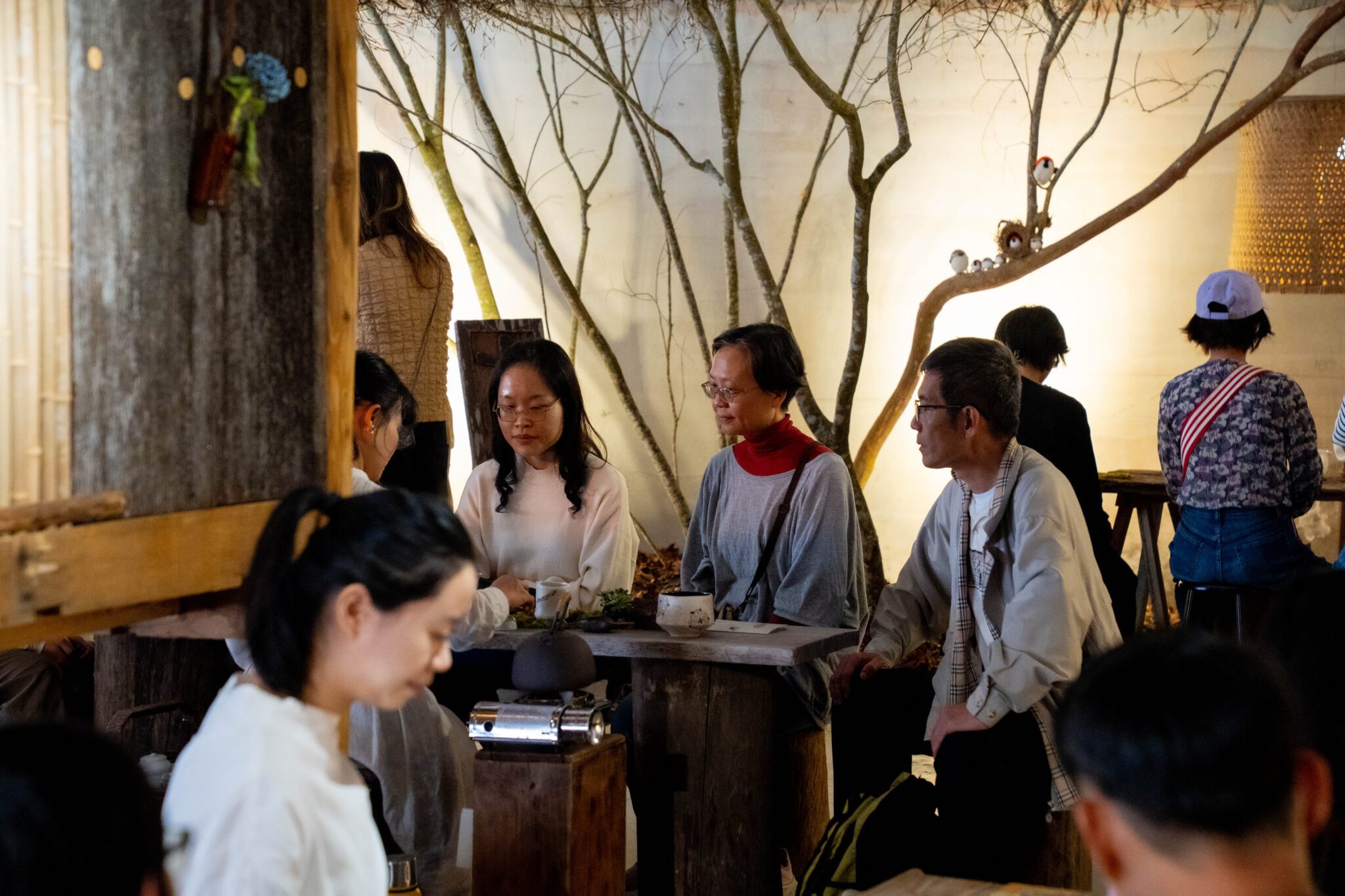 2025高山茶都精彩登場　阿里山5大茶區一次呈現