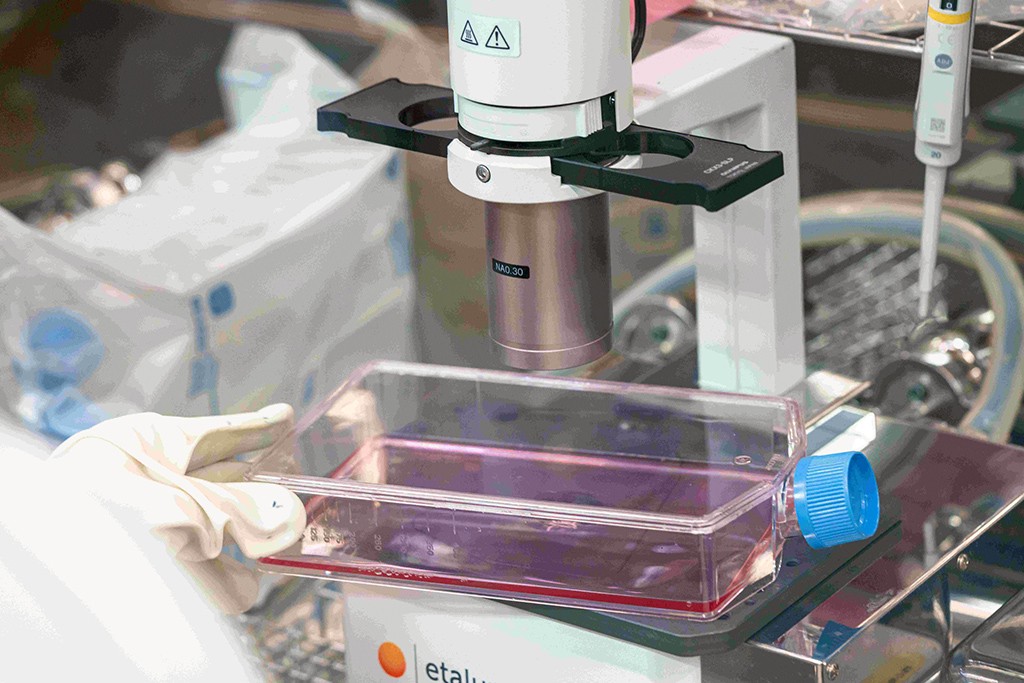 三軍總醫院攜手亞家生技 推動婦癌TILs療法 三軍總醫院攜手亞家生技 推動婦癌TILs療法