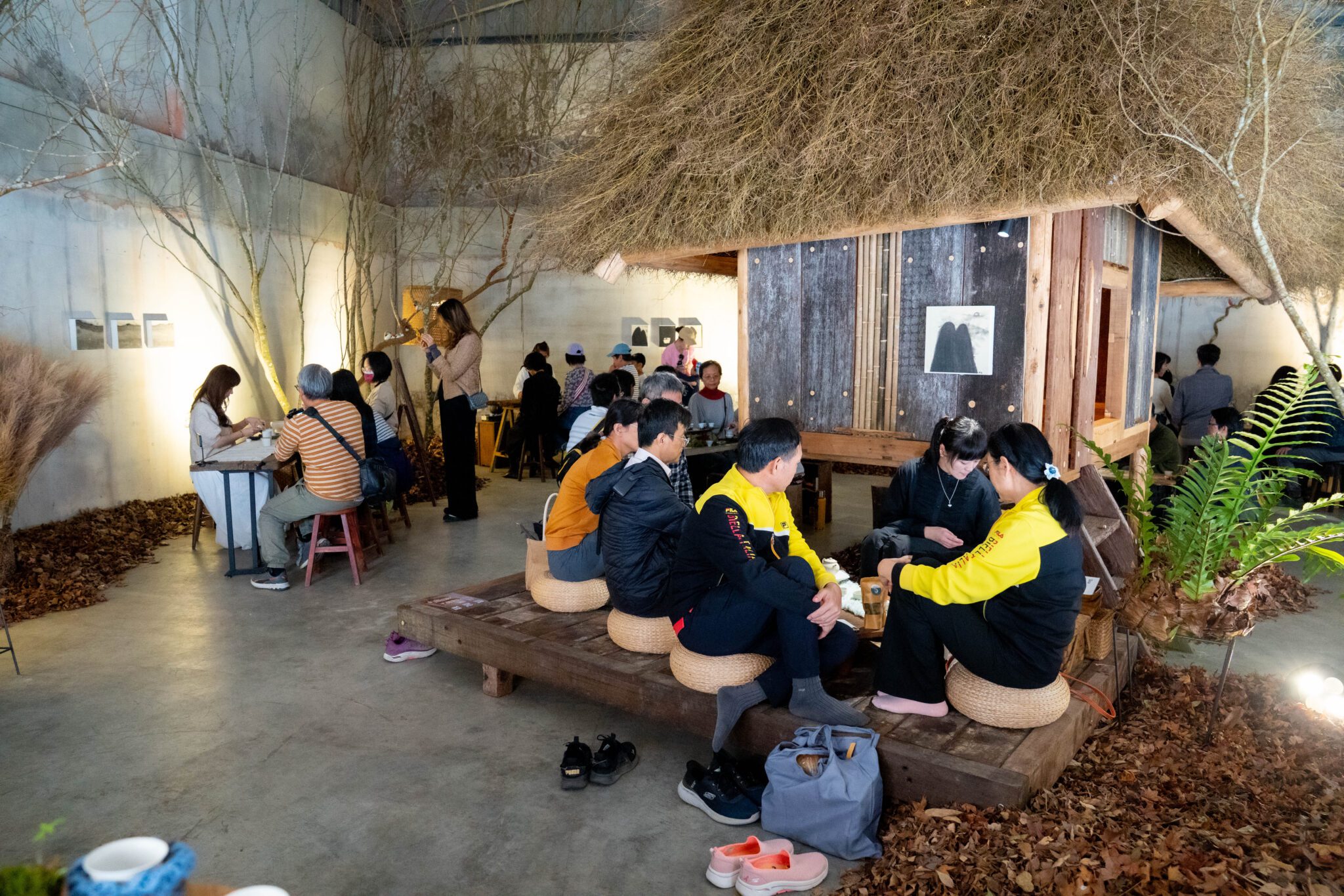 2025高山茶都精彩登場　阿里山5大茶區一次呈現