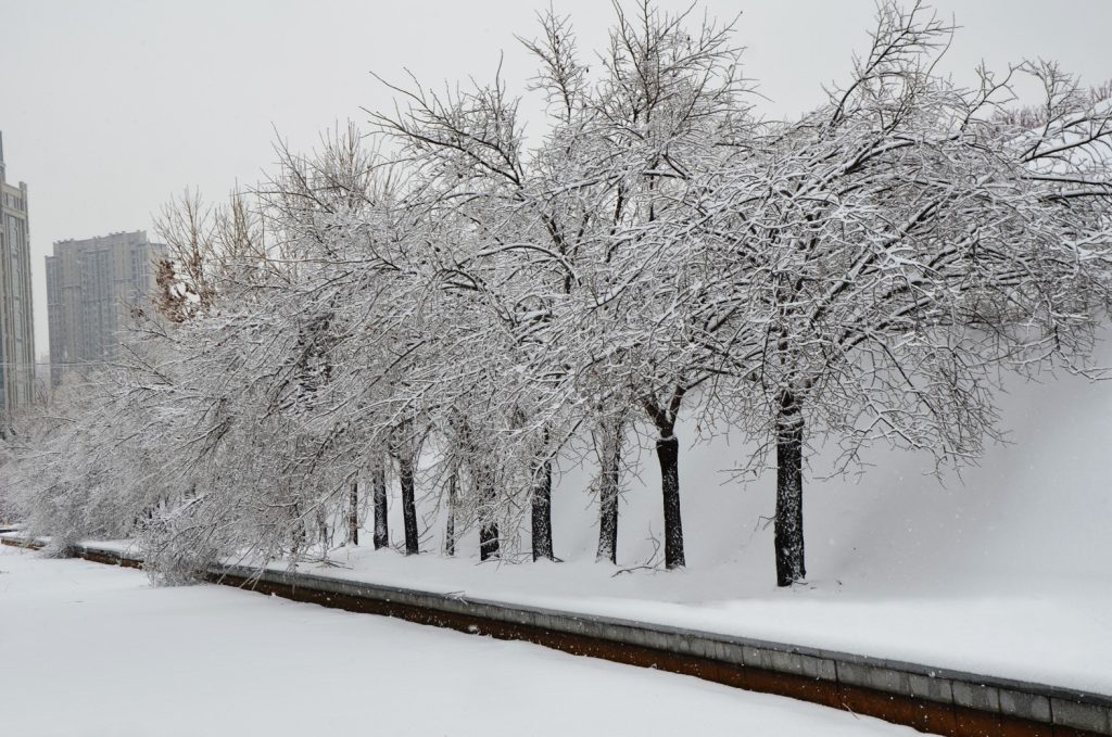 大雪之道・國際局勢掛象:雷山小過,退守者大吉 大雪之道・國際局勢掛象:雷山小過,退守者大吉
