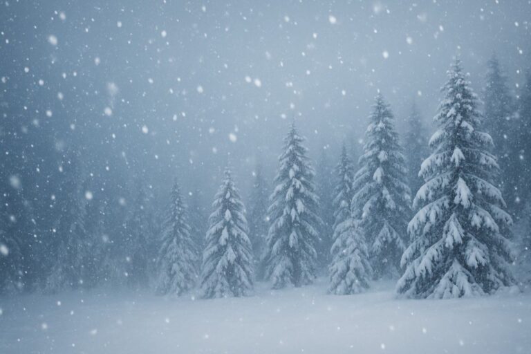 大雪之道・國際局勢掛象：雷山小過，退守者大吉