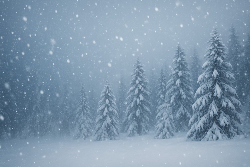 大雪之道・國際局勢掛象:雷山小過,退守者大吉 大雪之道・國際局勢掛象:雷山小過,退守者大吉