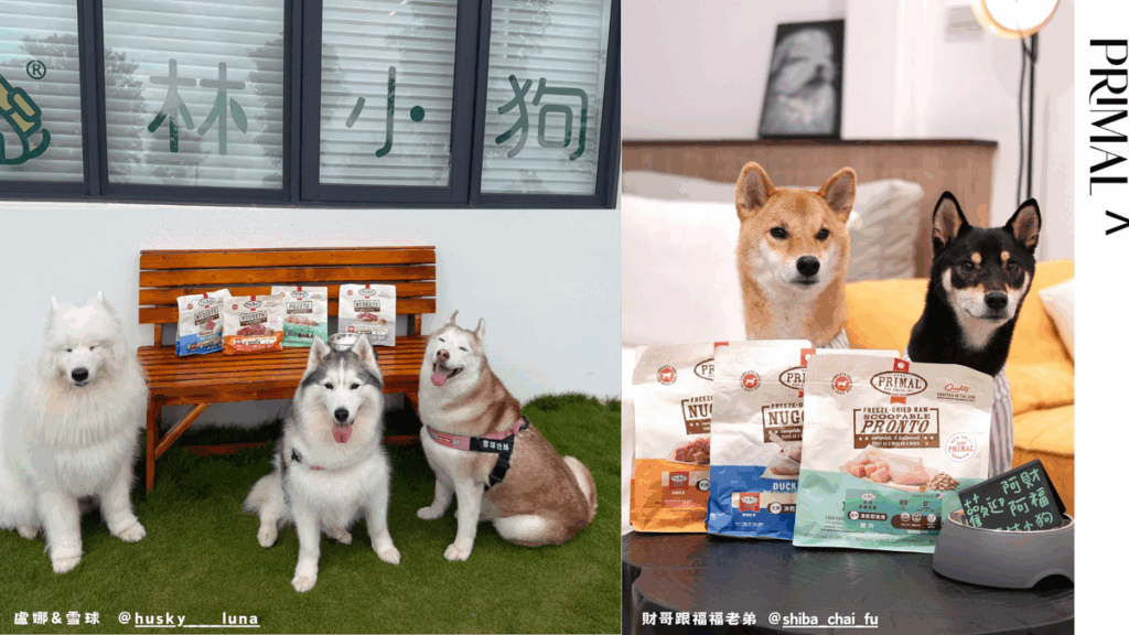 全台瘋毛孩旅行 指定住宿送美食