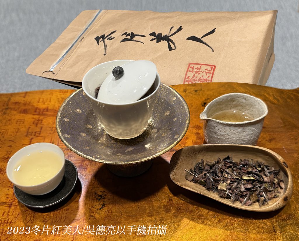 冬片美人與野放五色白茶品賞 冬片美人與野放五色白茶品賞