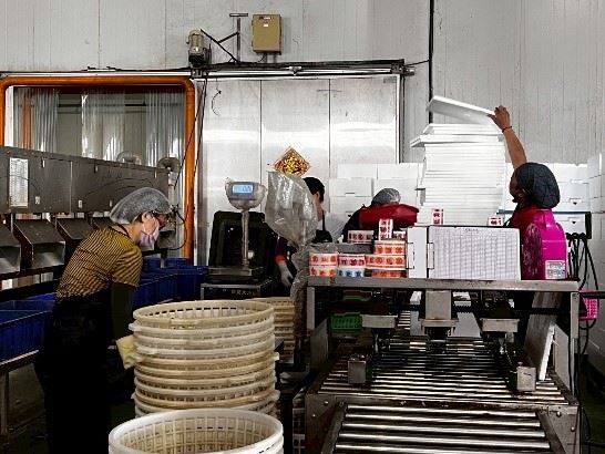 嘉義縣銀髮人才服務據點 助中高齡者重返職場 嘉義縣銀髮人才服務據點 助中高齡者重返職場