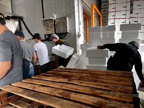 嘉義縣銀髮人才服務據點 助中高齡者重返職場 嘉義縣銀髮人才服務據點 助中高齡者重返職場