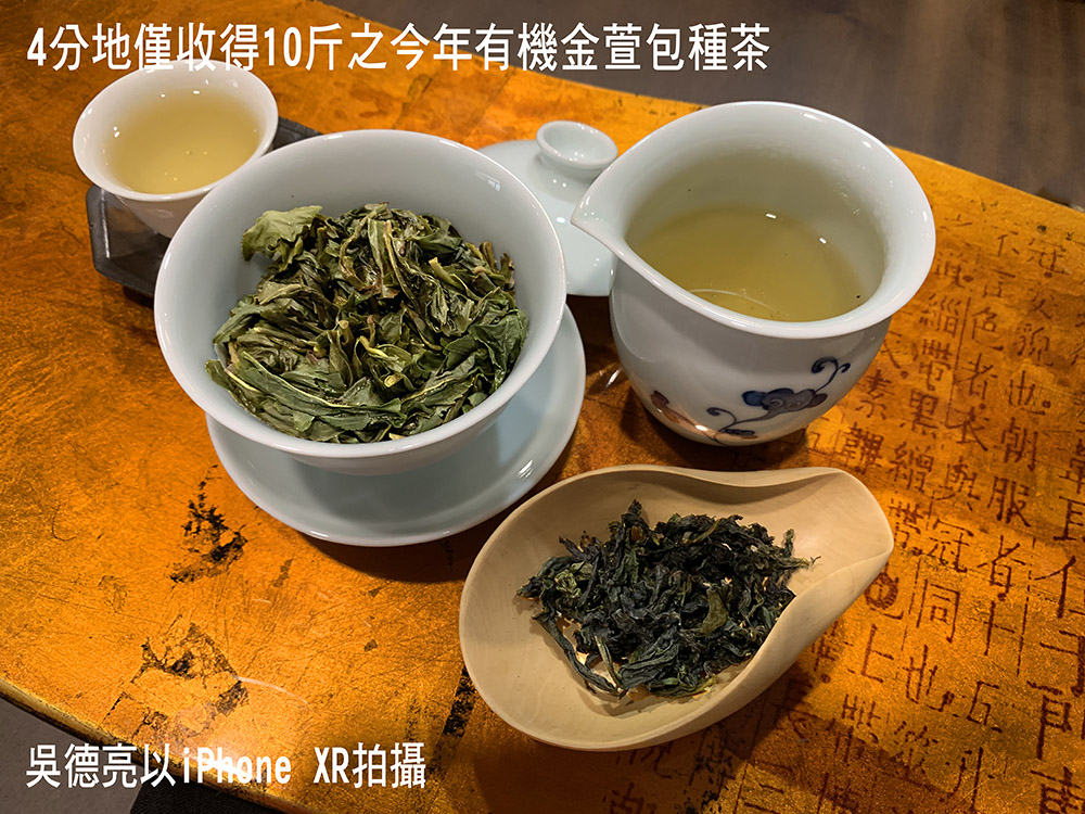 坪林石碇文山包種茶 翻轉茶的無限可能 坪林石碇文山包種茶 翻轉茶的無限可能