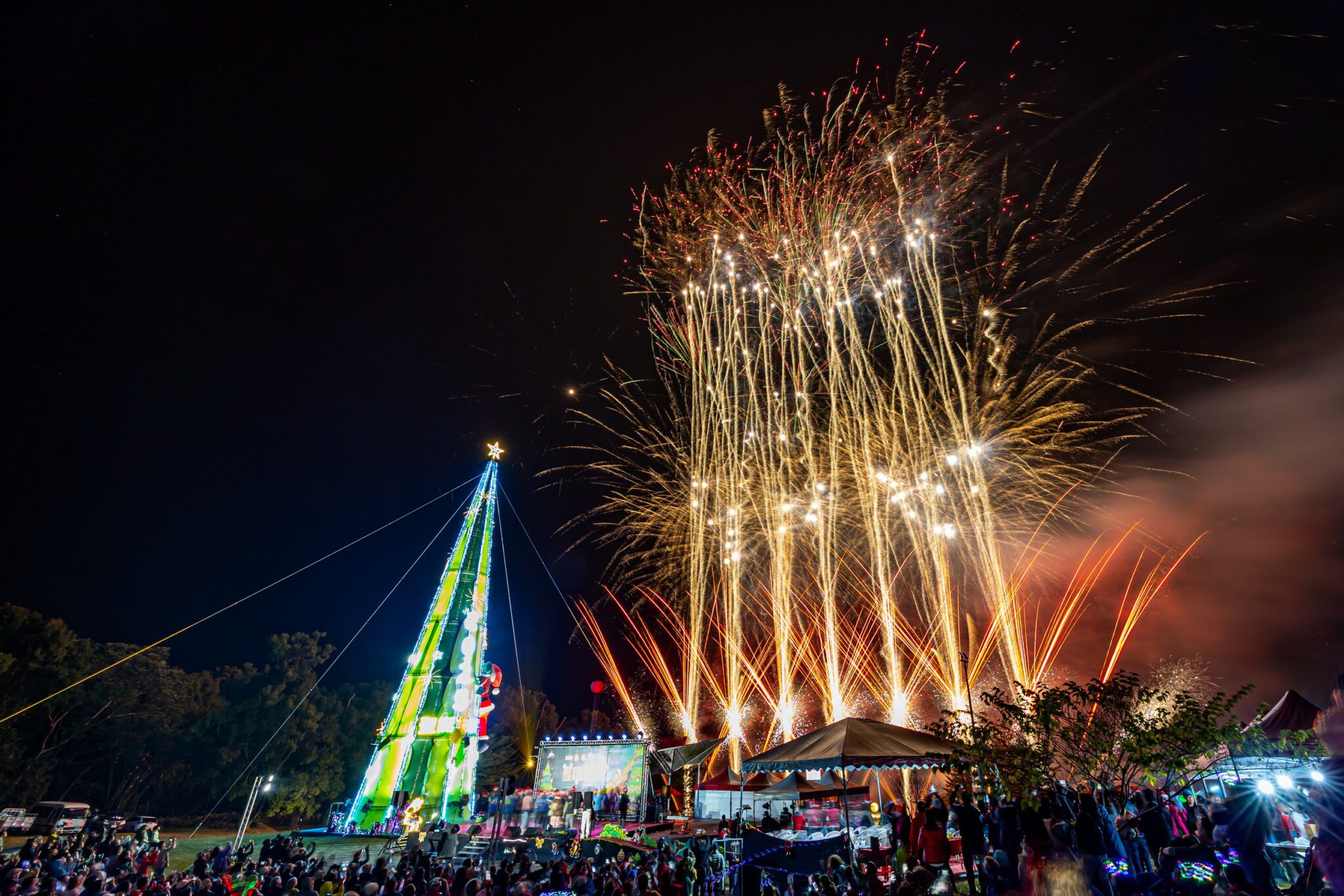 許縣長為信義鄉羅娜聖誕樹點燈　與遊客共度歡樂平安夜