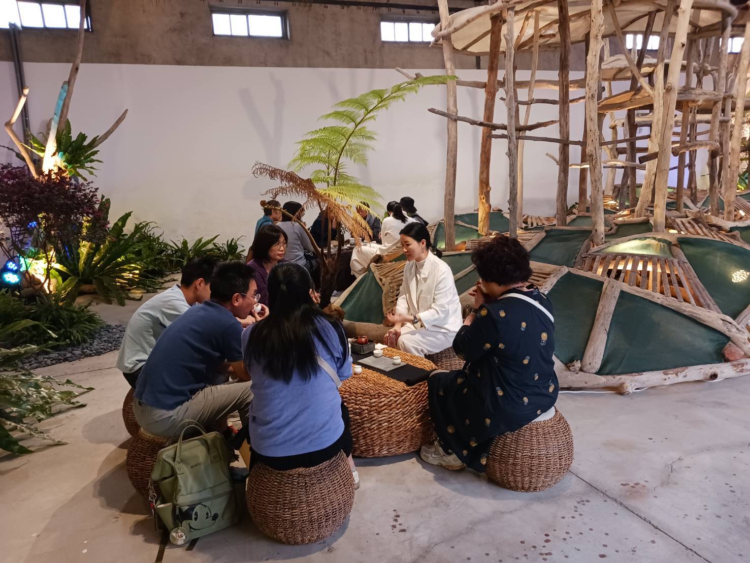 2025「高山茶都　嘉義」用山之境、茶之道打開山林日常