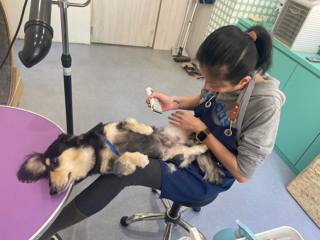 專業不只一種形式 生活品牌回應現代人的多元需求 專業不只一種形式 生活品牌回應現代人的多元需求