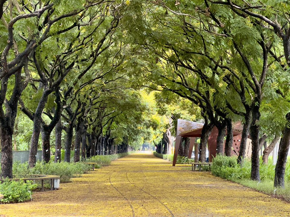 彰縣府串聯8.3公里東螺溪水綠廊道 打造5處亮點設施 健康齊步走健行活動 彰縣府串聯8.3公里東螺溪水綠廊道 打造5處亮點設施 健康齊步走健行活動