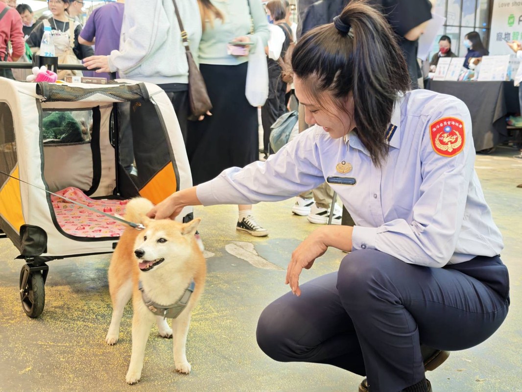 寵物知識平台「PetTalk:說寵物」邁入十週年 攜手 FurMi 毛孩健康卡,整合醫療與科技,打造全方位健康生態系 寵物知識平台「PetTalk:說寵物」邁入十週年 攜手 FurMi 毛孩健康卡,整合醫療與科技,打造全方位健康生態系