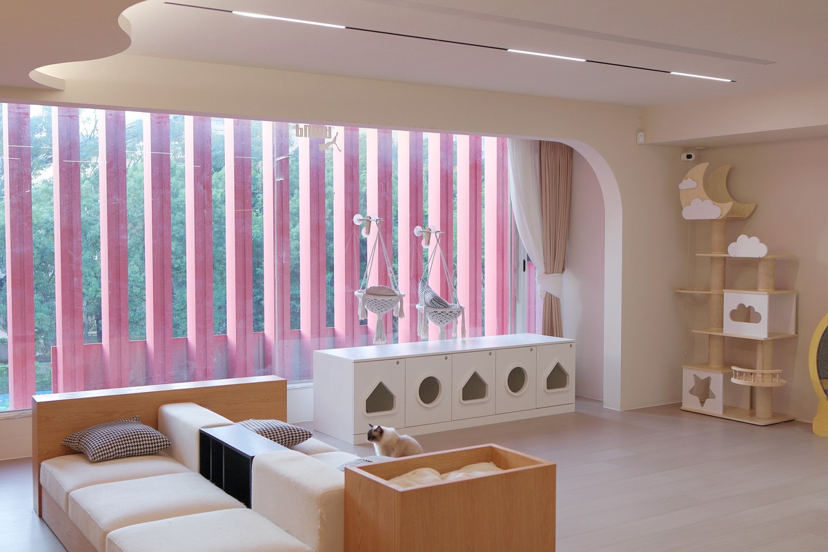 全台最大夢幻貓舍12/27開幕!台南「聖火貓貓教」打造700坪貓咪天堂 全台最大夢幻貓舍12/27開幕!台南「聖火貓貓教」打造700坪貓咪天堂