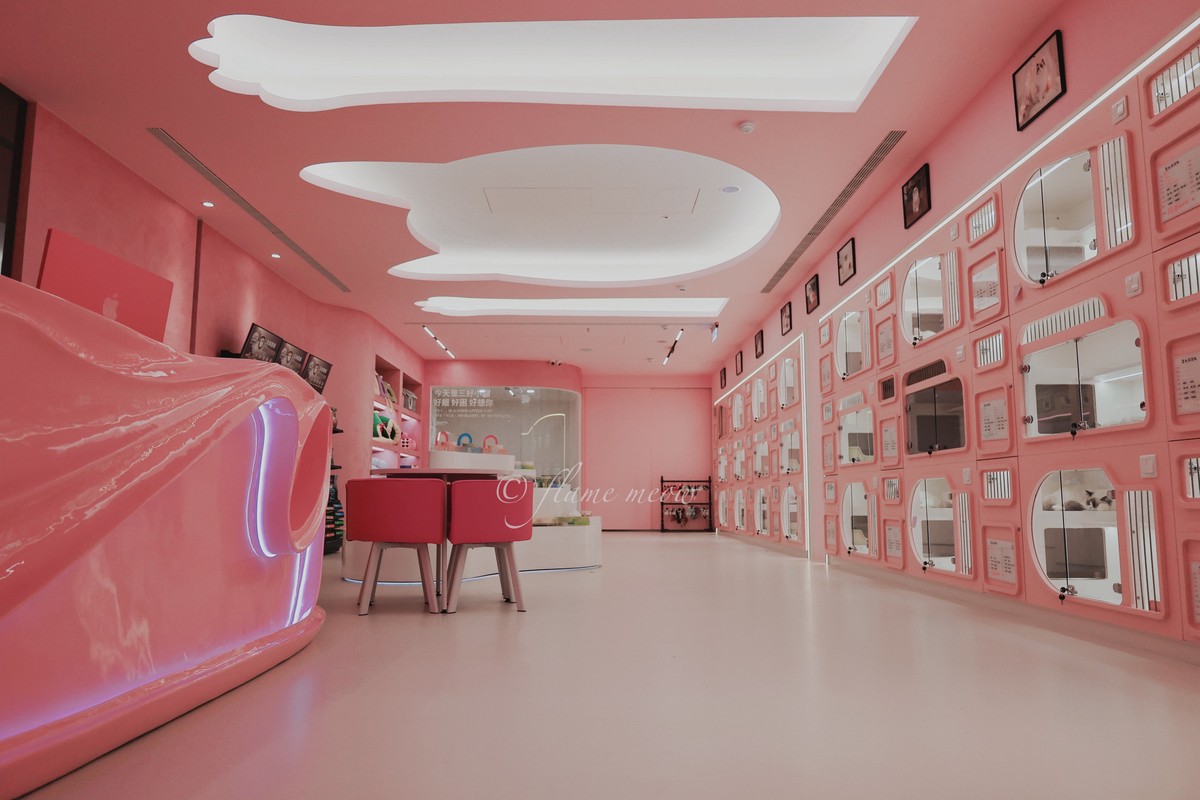 全台最大夢幻貓舍12/27開幕!台南「聖火貓貓教」打造700坪貓咪天堂 全台最大夢幻貓舍12/27開幕!台南「聖火貓貓教」打造700坪貓咪天堂