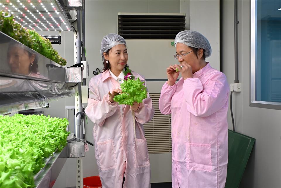 彰化首家全環控水耕蔬菜業者　蔡季科農有限公司　正式開幕