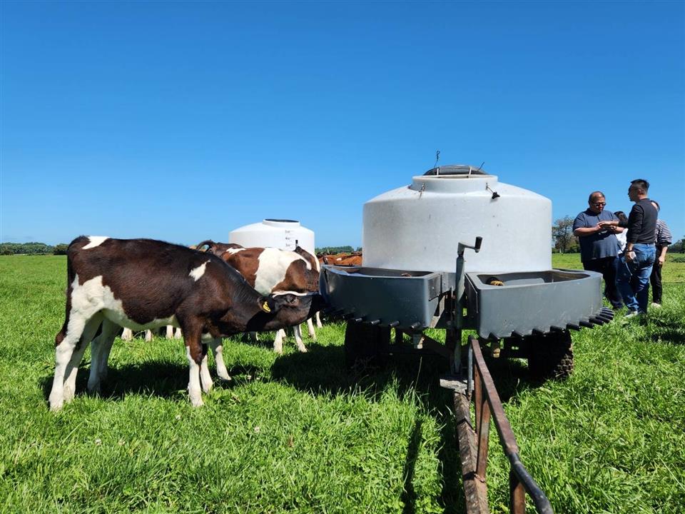 彰化縣政府赴紐西蘭取經　走進當地牧場探索世界級乳業國度