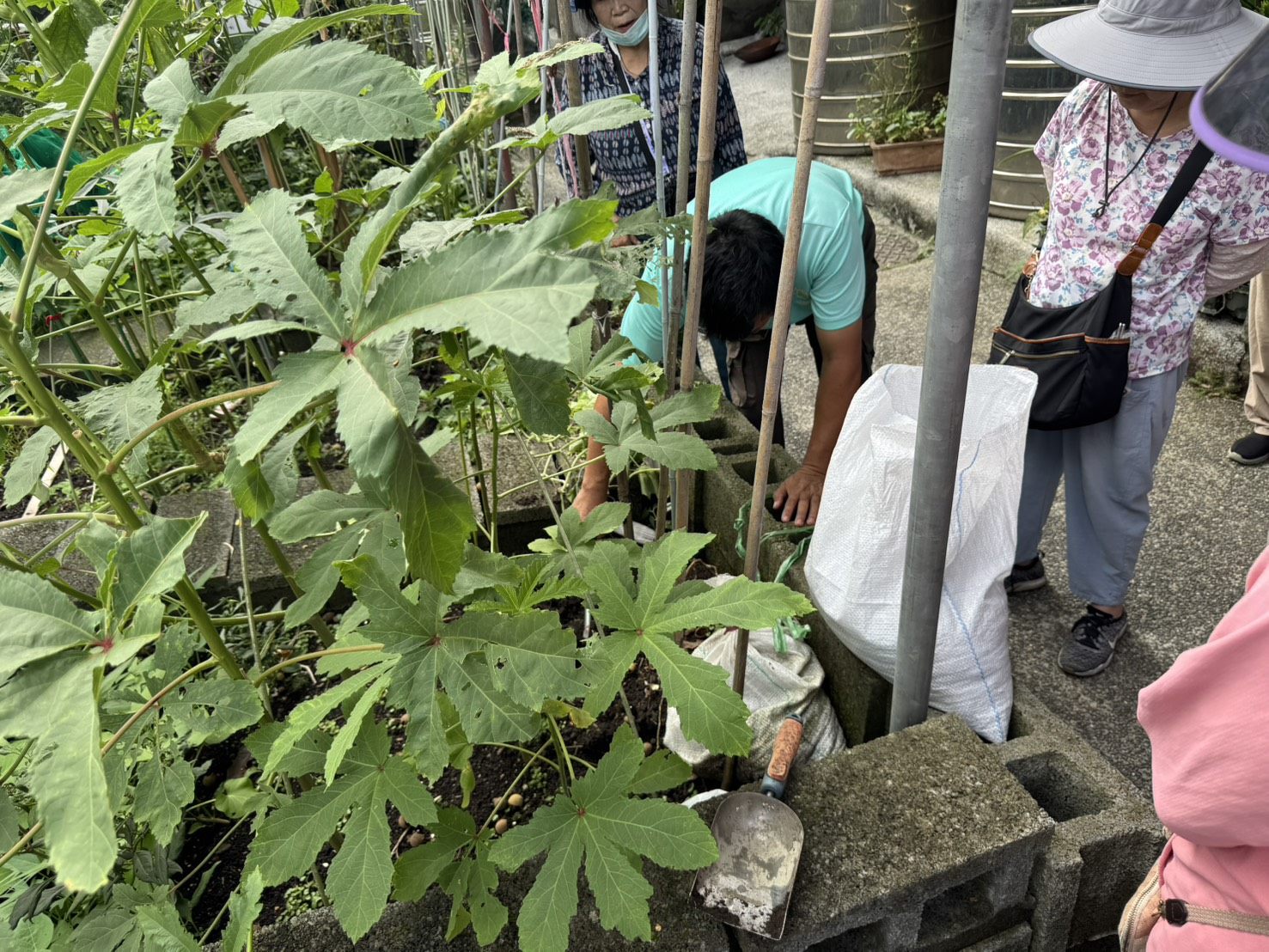 廚餘神奇再利用　北市公園處傳授「家庭堆肥」秘訣
