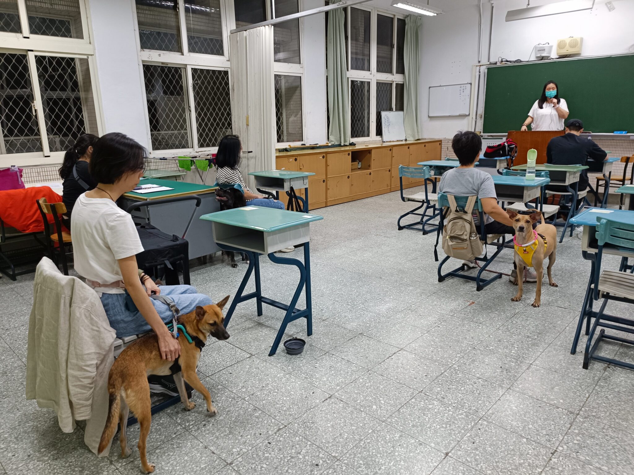 臺北市動物保護3年有成 動物友善服務再升級 臺北市動物保護3年有成 動物友善服務再升級