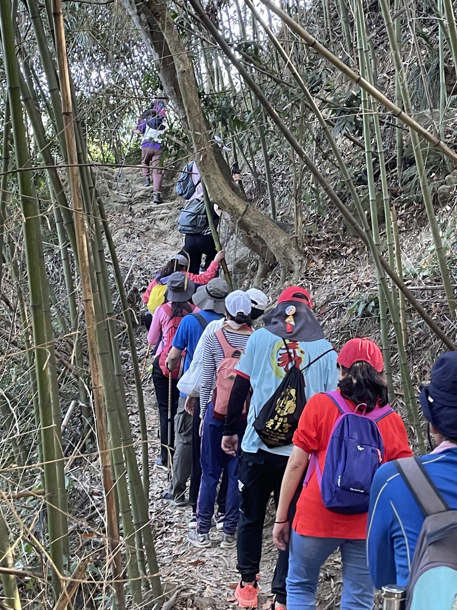 竹山「八通關古道」社寮聯絡道　登山健行活動  12/7盛大登場